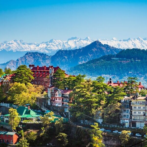 shimla (1)